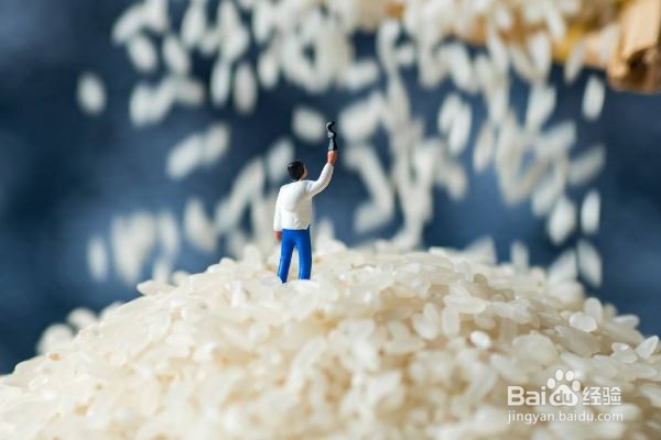 整袋的大米怎么储存不生虫