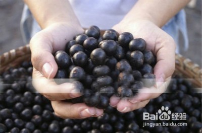 能减轻压力的食物有哪些