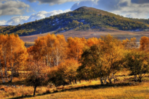 木兰围场怎么游玩？