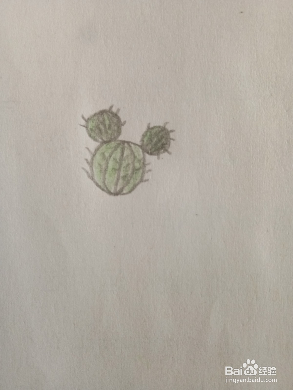 教你画简笔画仙人球