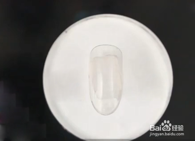 怎样做绿色晕染贝壳美甲？