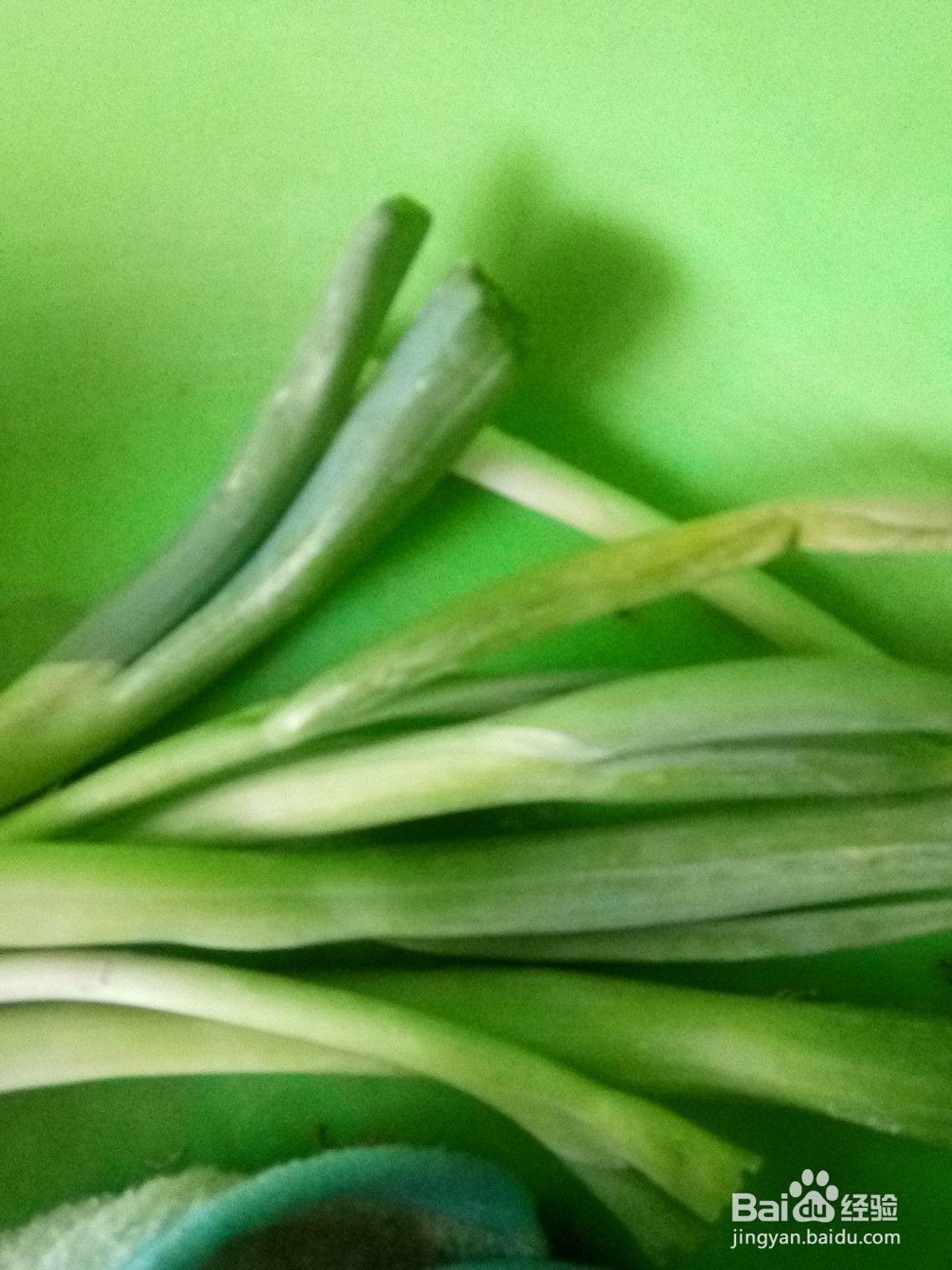 家常土豆炖豆角