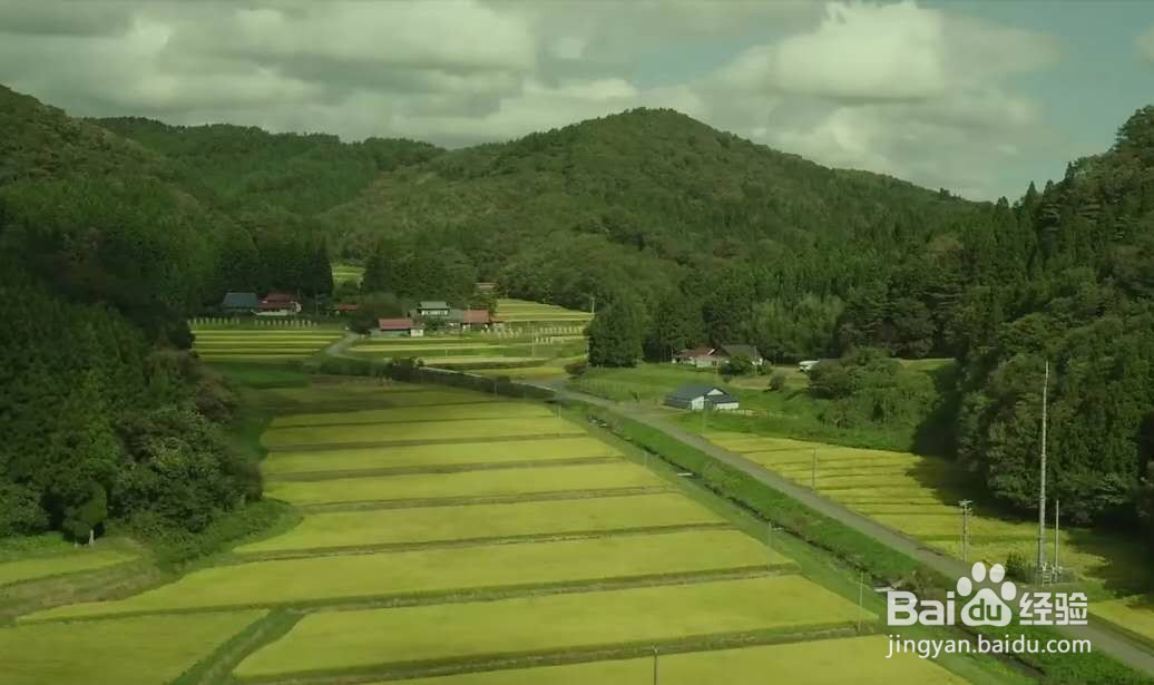 乡间的暑假生活攻略