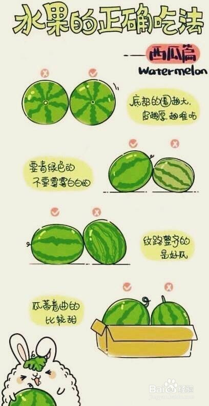 【水果正确吃法】分享各种水果的正确吃法