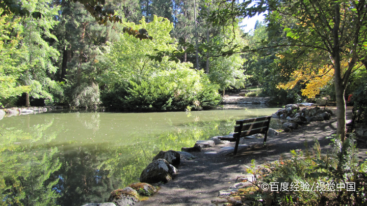 哪里可以钓小龙虾