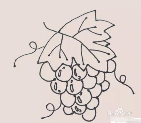 伴儿成长简笔画系列-怎样画葡萄简笔画