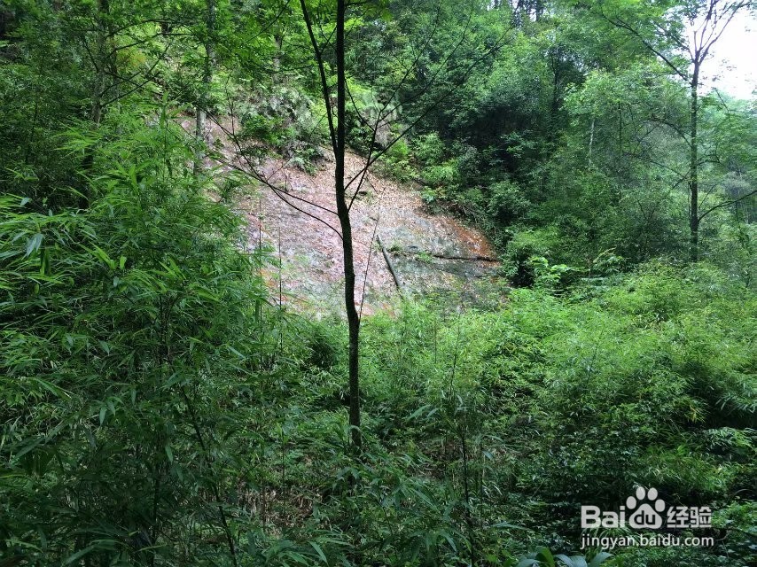重庆江津四面山省钱舒适旅游攻略