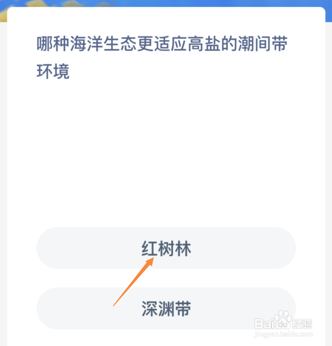 哪种海洋生态更适应高盐的潮间带环境