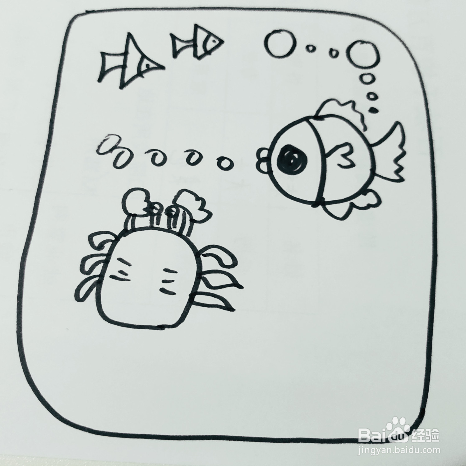 如何来画卡通海洋生物简笔画呢