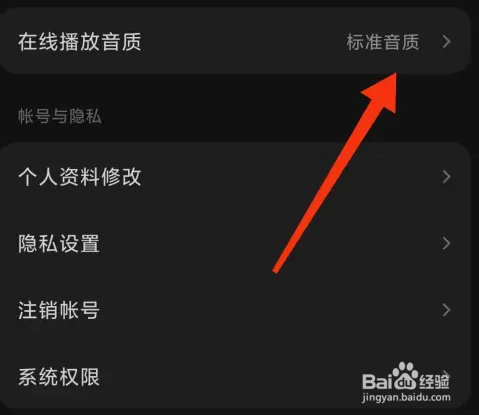 汽水音乐如何设置音质
