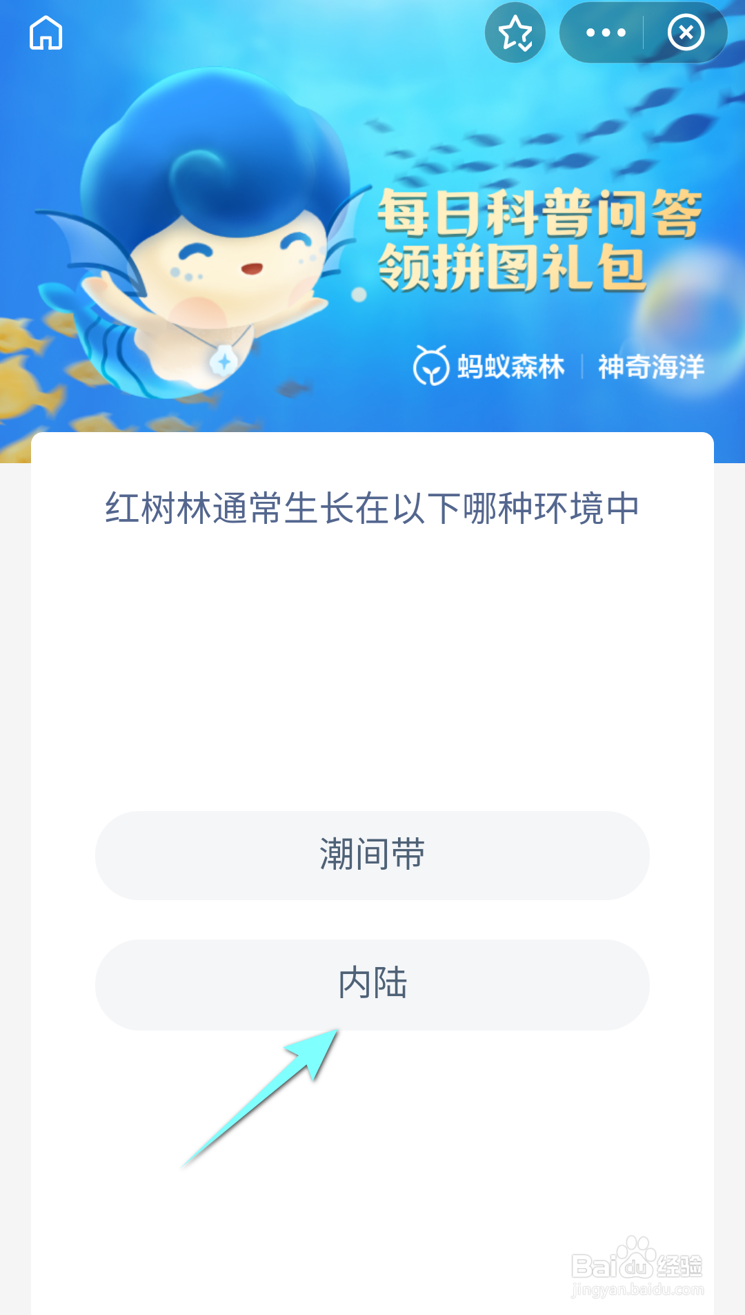 红树林通常生长在以下哪种环境中