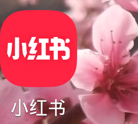 小红书怎么使用