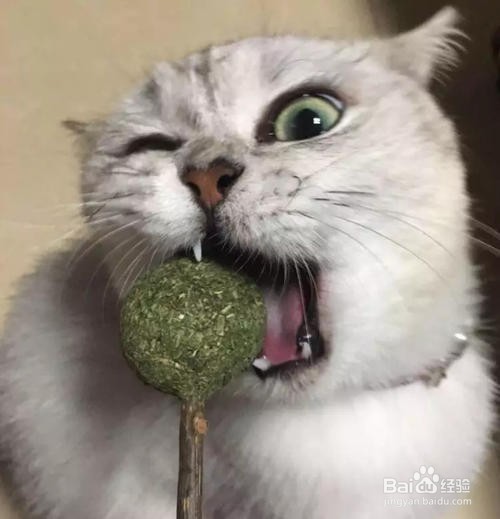 开车太困怎么办