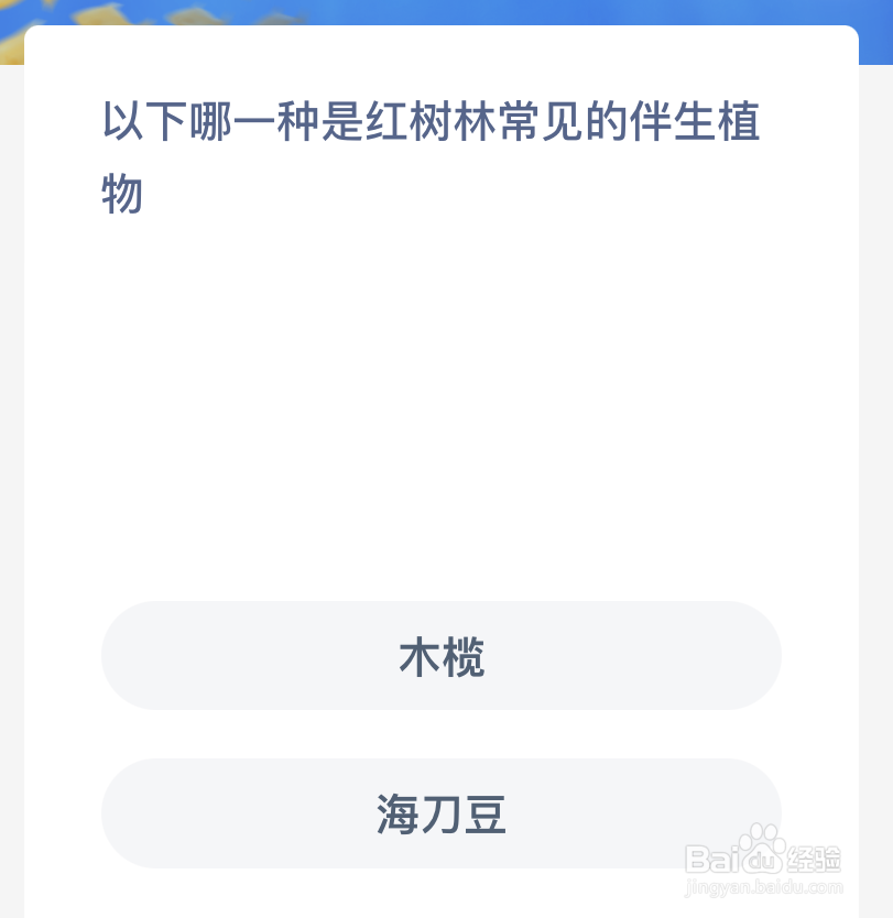 以下哪一种是红树林常见的伴生植物