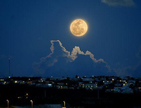 类似今晚月色真美的隐晦句子有哪些