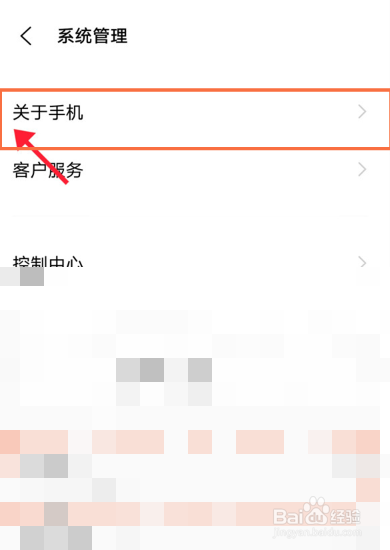 vivo手机怎么进入开发者模式