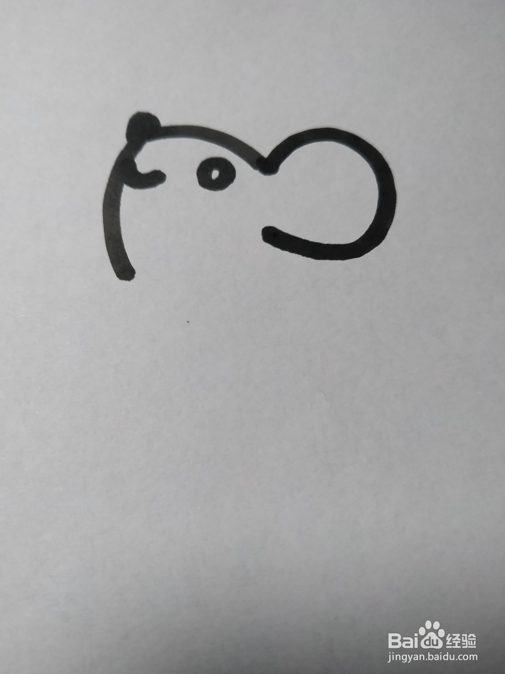 老鼠的简笔画技法35