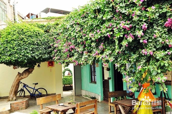 夏天来厦门不可错过的事情 来厦门必做的八件事