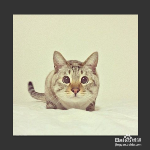 6002c9d4483104eb34265bb9092b74ee1d324edb.jpg?x-bce-process=image%2Fresize%2Cm_lfit%2Cw_500%2Climit_1