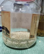 糯米生虫子处理小诀窍