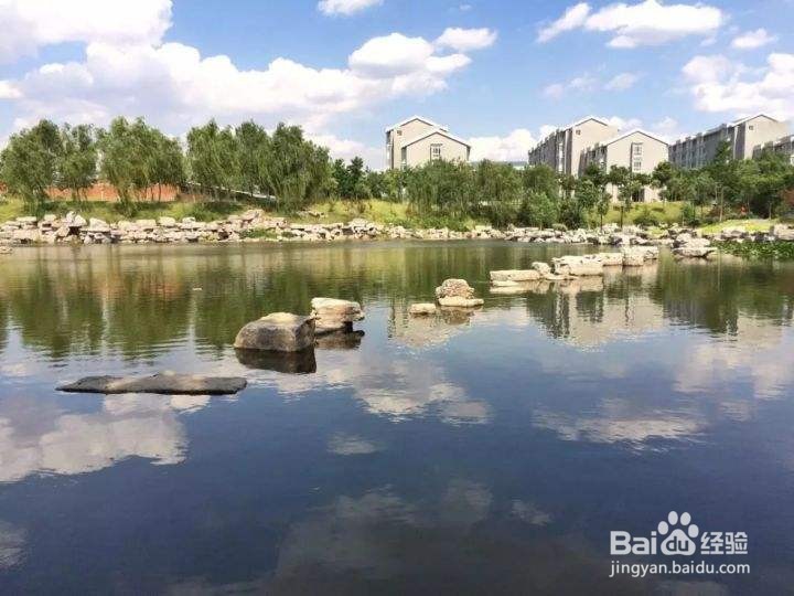 #萌新听我说#山东财经大学圣井校区学习攻略