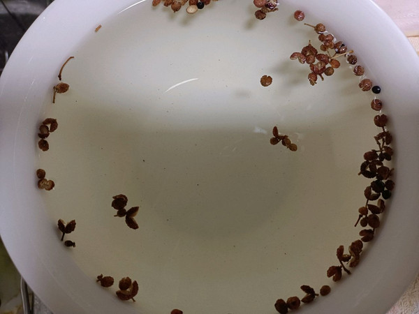 白菜羊肉丸子汤