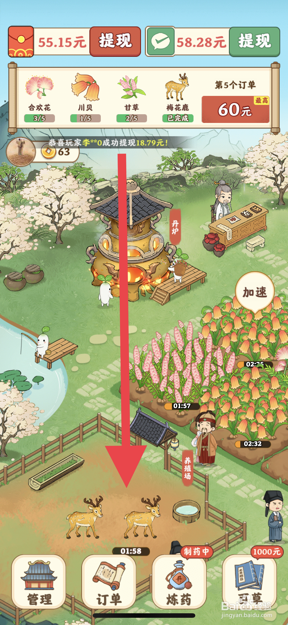 杏林世家怎么养殖两头梅花鹿