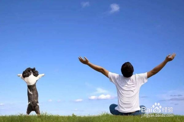 癌症病人春季应该怎样养生