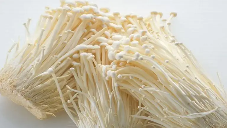 金针菇热量