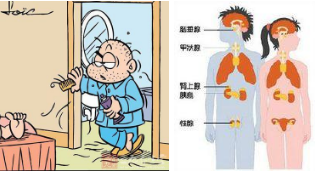 内分泌失调有什么危害,怎么防止内分泌失调