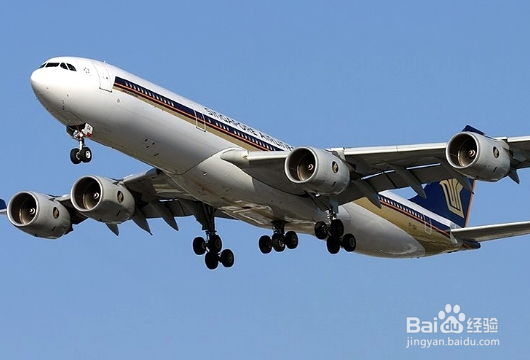 怎么样做好一名空姐?