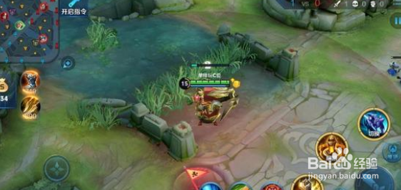 黄忠新皮肤二技能放在草里能看见吗