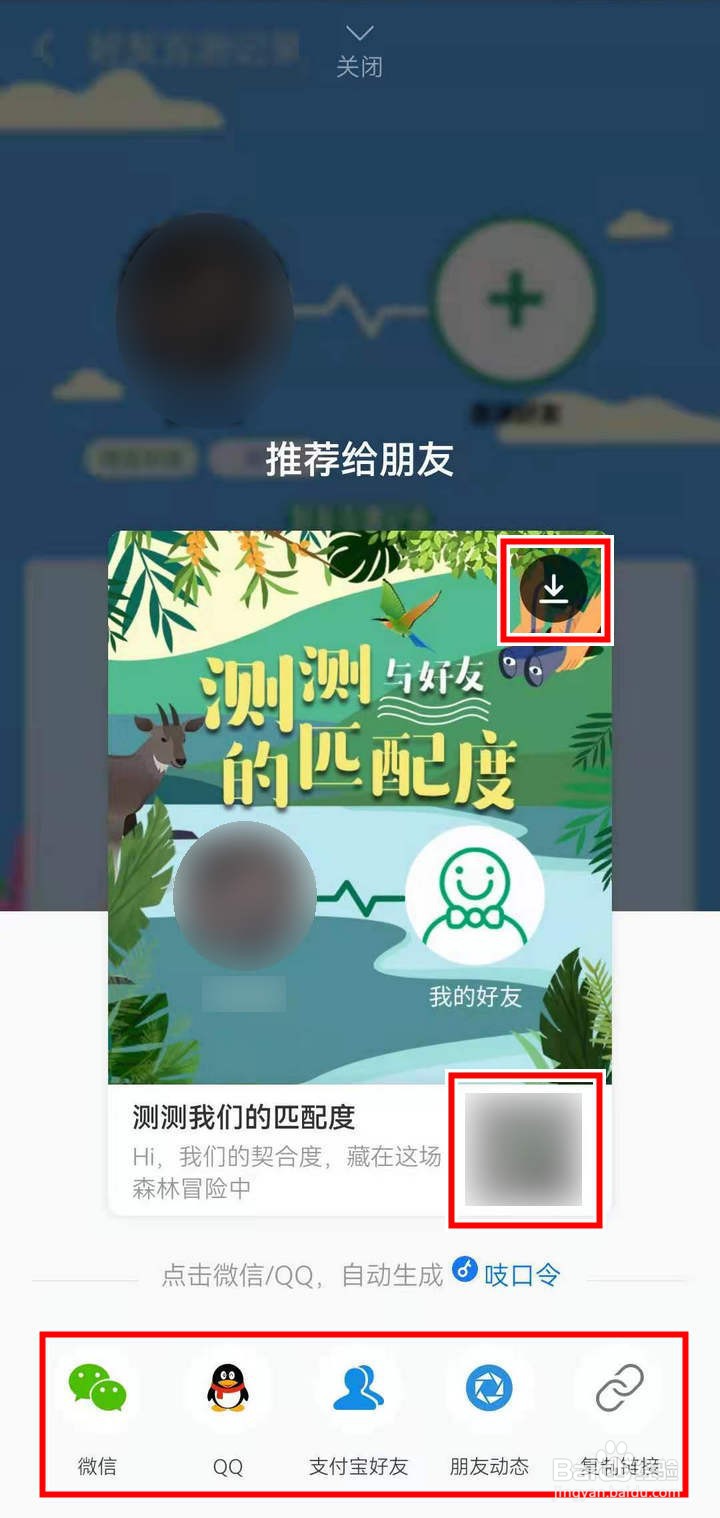 支付宝蚂蚁森林怎么好友互测森林人格