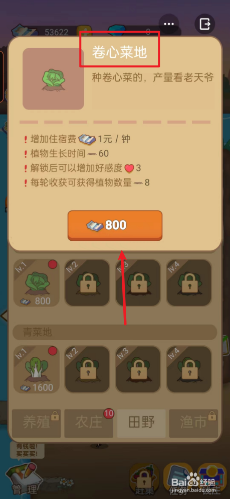 回村开个农家乐如何解锁卷心菜地
