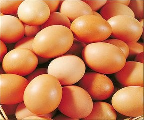 怎样才能快速辨别鸡蛋的好坏