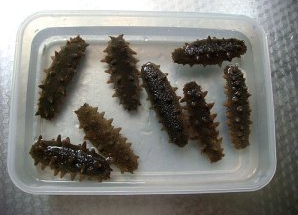 海参没发起来怎么补救