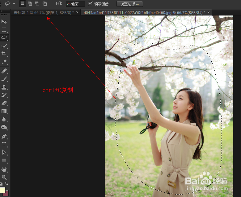 【PS实例】轻松打造梦幻的照片