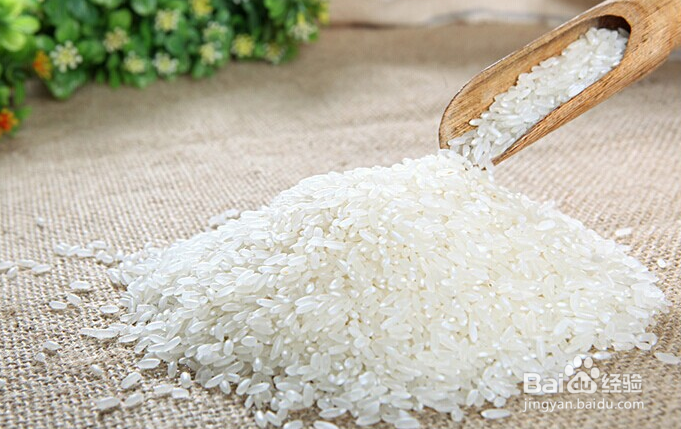 碧仁堂五谷养生