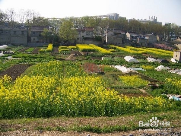 PS技巧之拼合风景照片