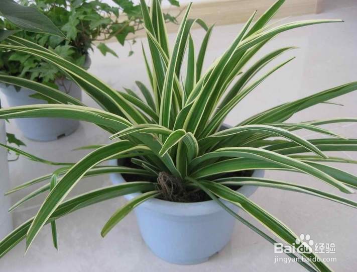 苯超标有哪些去除方法