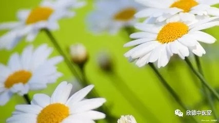 过敏性鼻炎和感冒的预防方法有哪些?