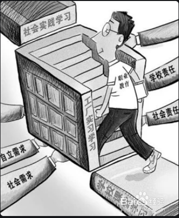 大学生社会实践的作用?