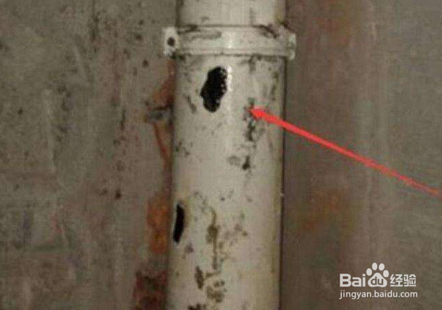 厕所蚊子多怎么解决