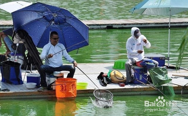 如何用鳖钩钓龟