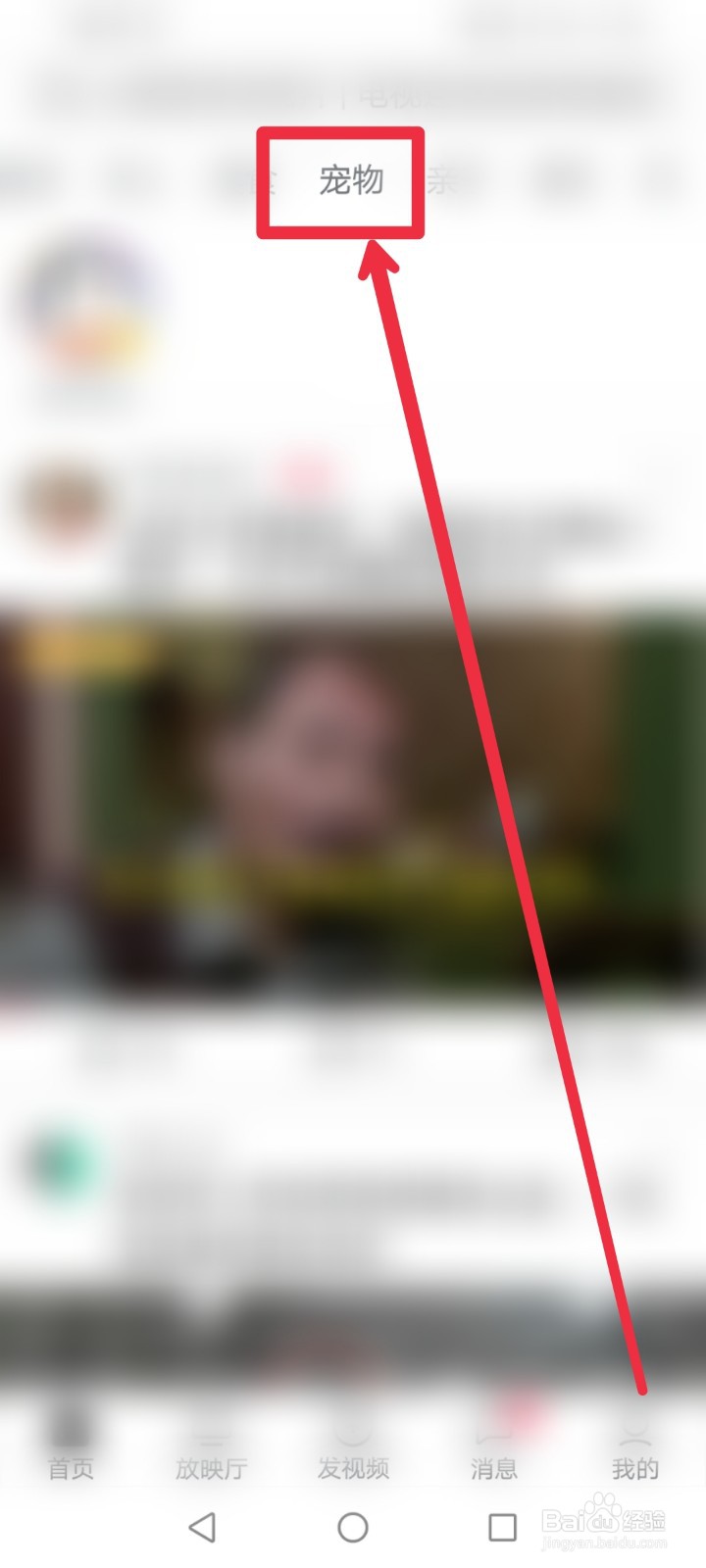 西瓜视频app怎么快速找到宠物视频