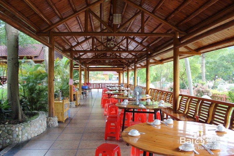 【这里好玩】惠州大亚湾小桂两日游