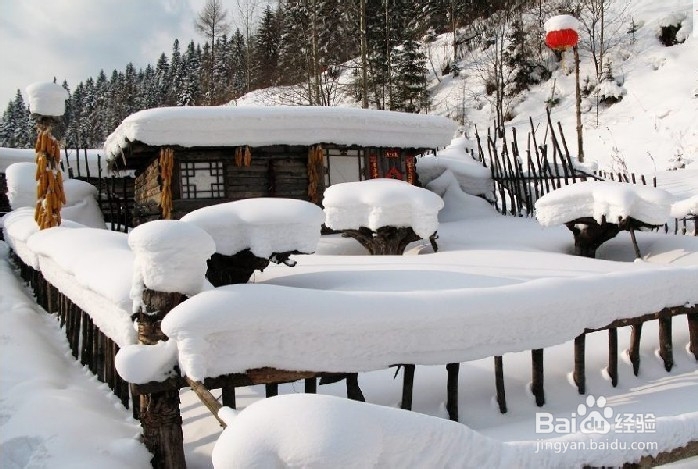 东北雪乡旅游攻略