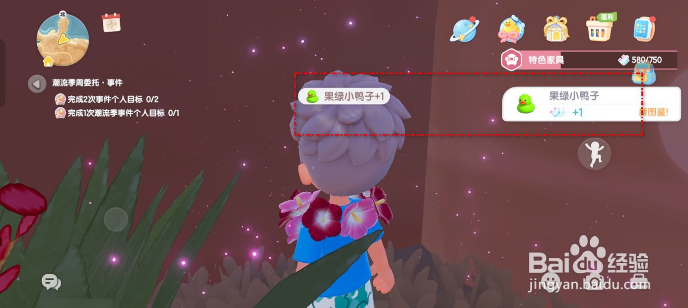 心动小镇在哪里可以找到果绿小鸭子