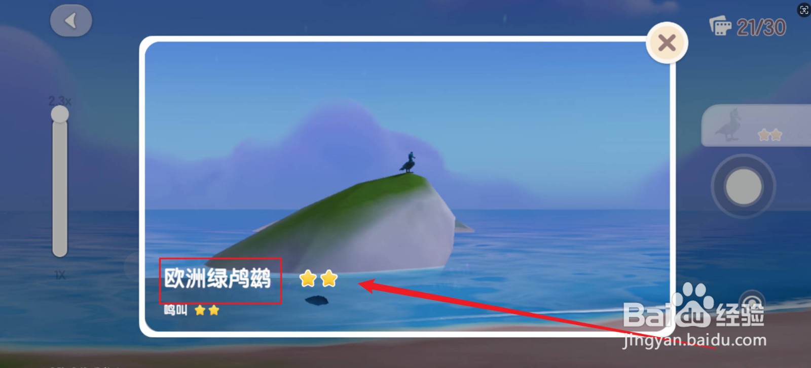 心动小镇欧洲绿鸬鹚在哪里