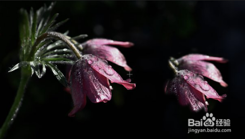 PS-Photoshop小技巧分享